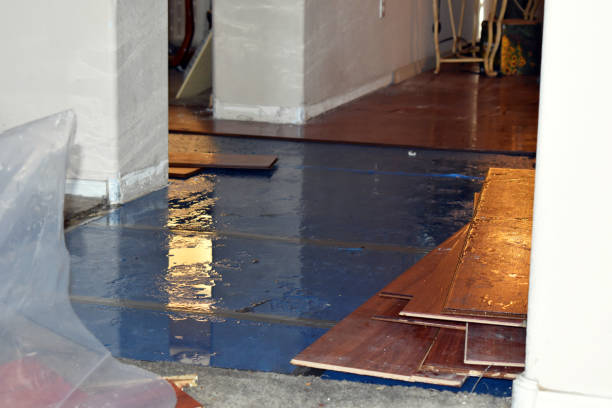 Professional Water Damage Restoration technician working in Cactus, TX